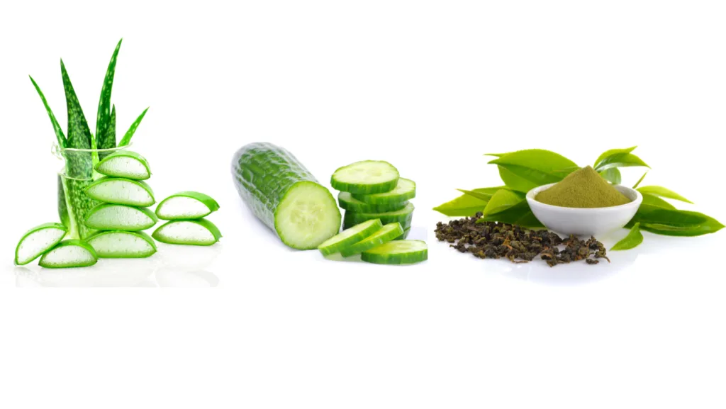 Ingredientes para pieles grasas2