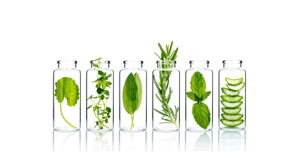 Ingredienti per la crema rassodante