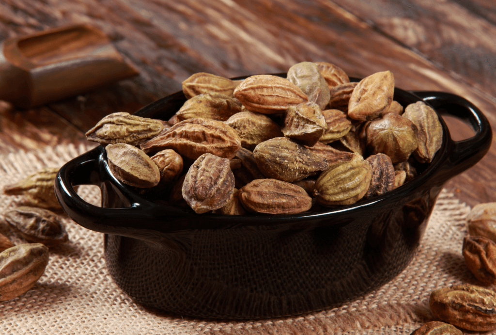 I 5 principali usi della Chebula in cosmetica: l'ingrediente di tendenza 1 Chebula ingrediente antioxidante